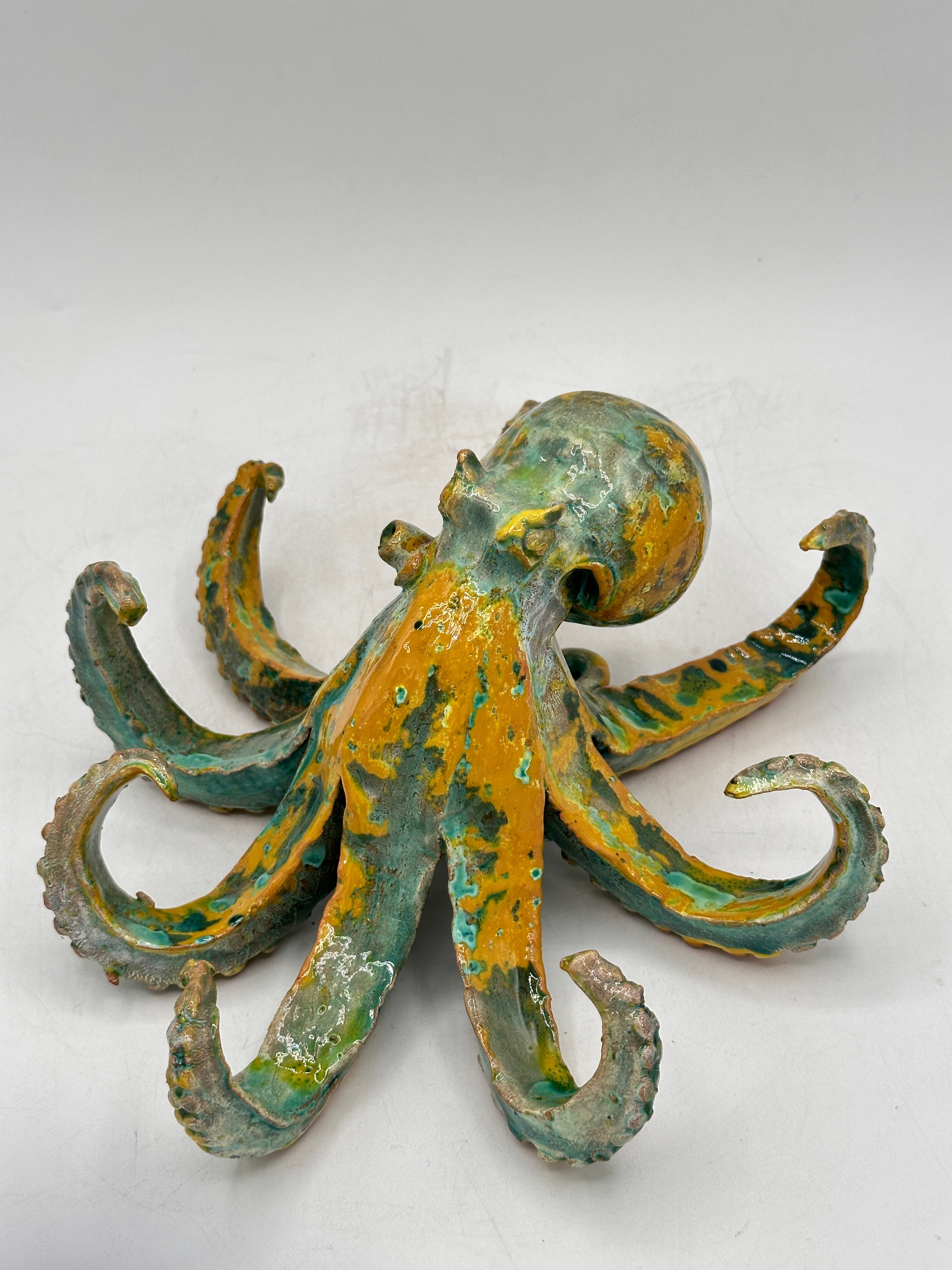 Collezione Mediterranea