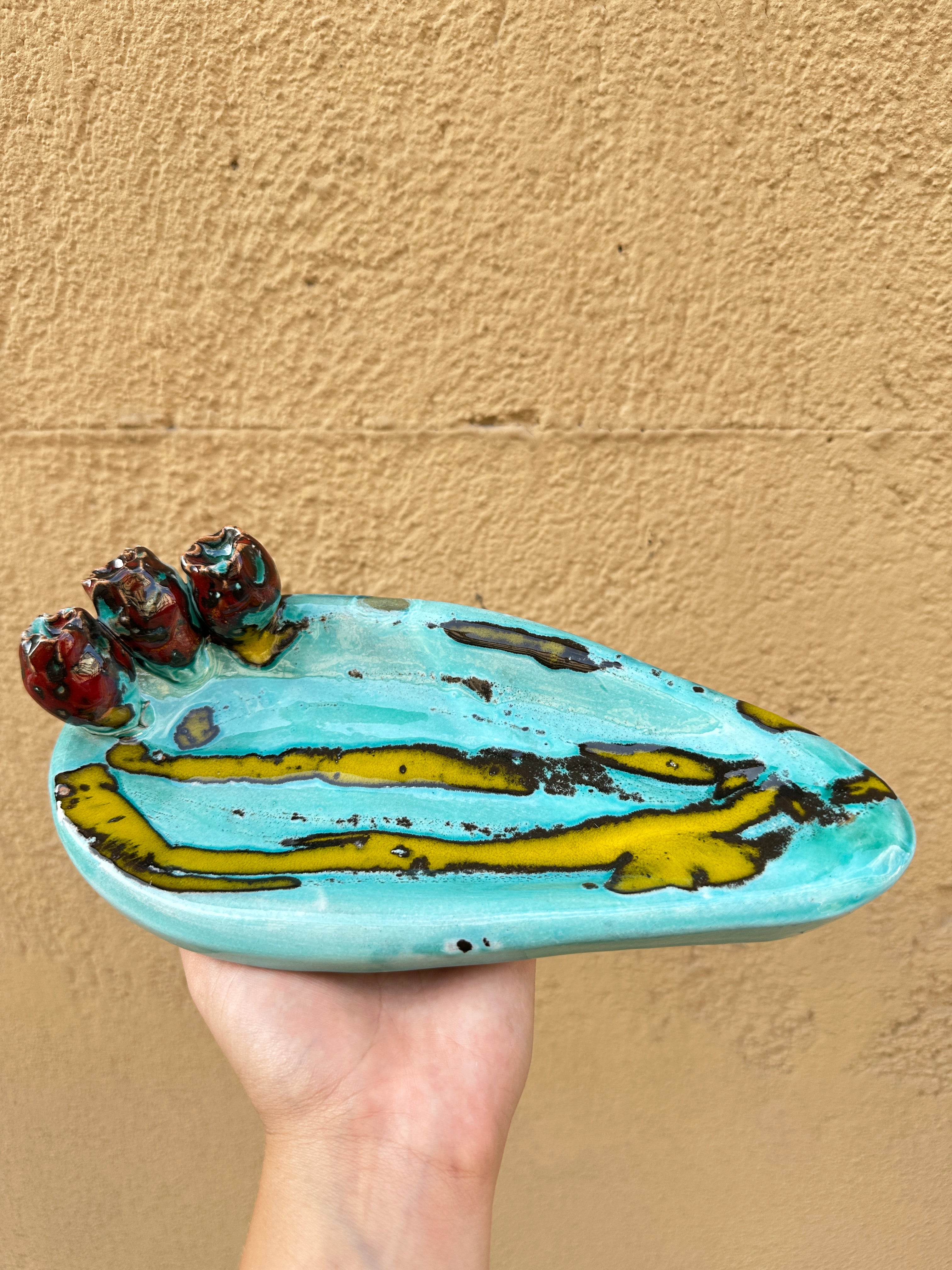 Pala di Fico D’india