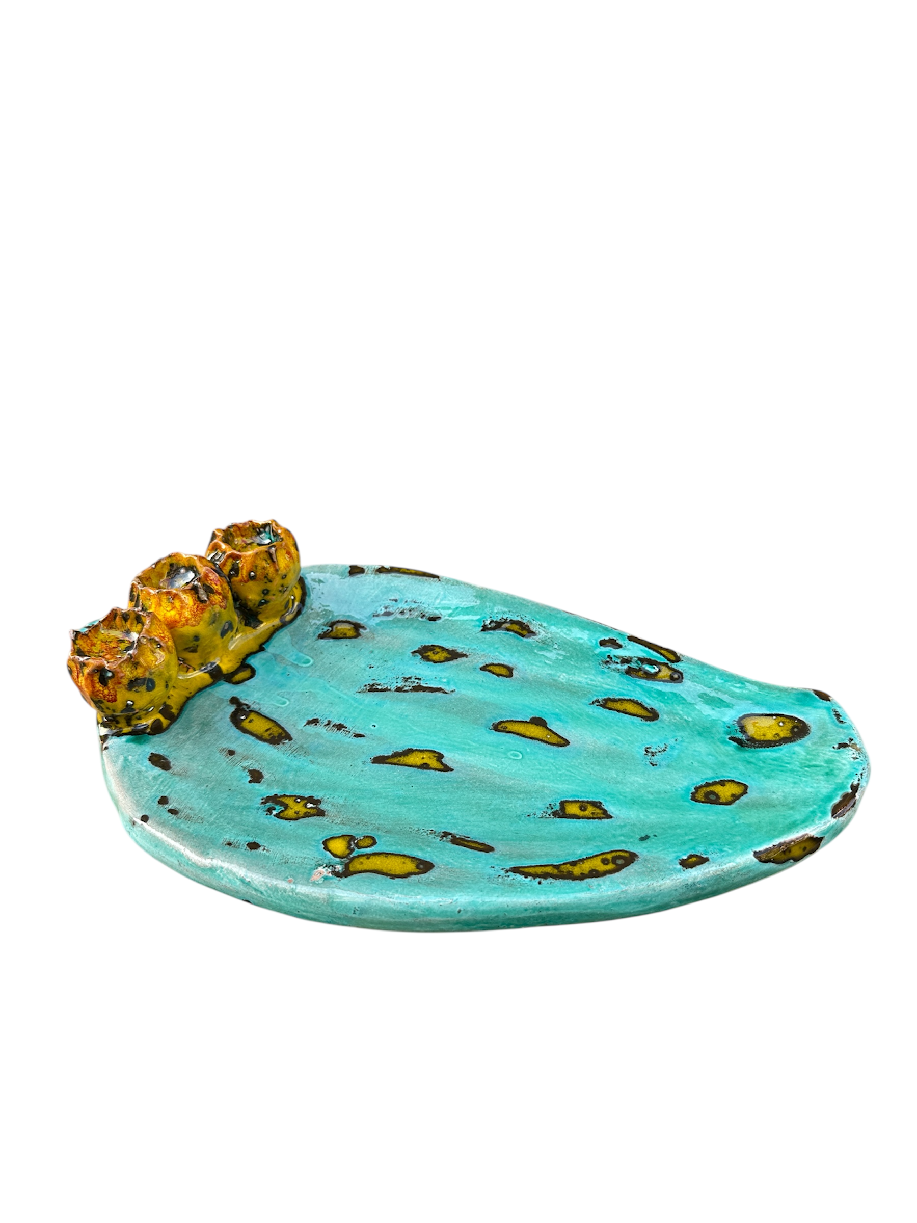 Pala di fico d'india - Verde e Giallo