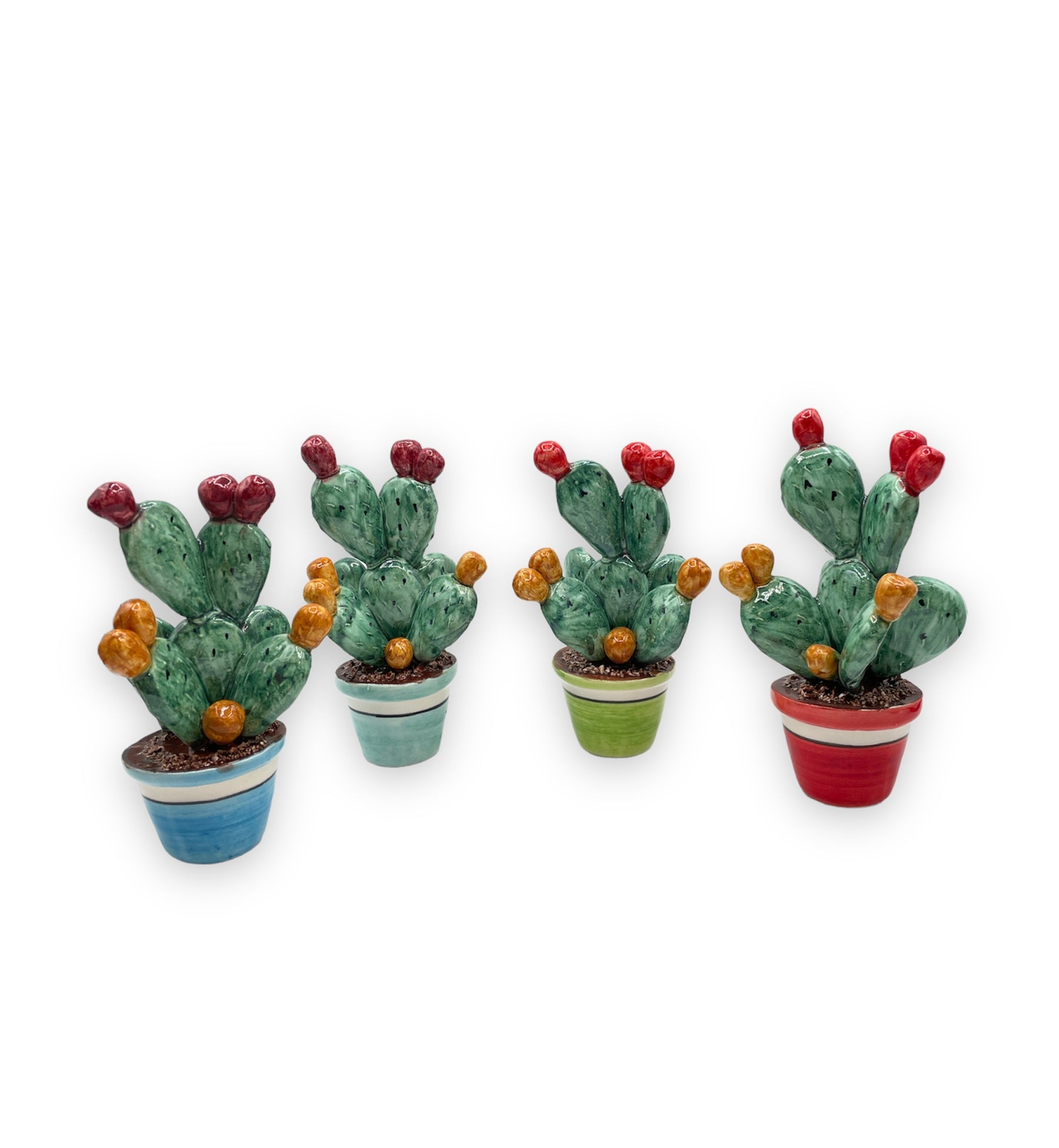 Plante de figue de barbarie