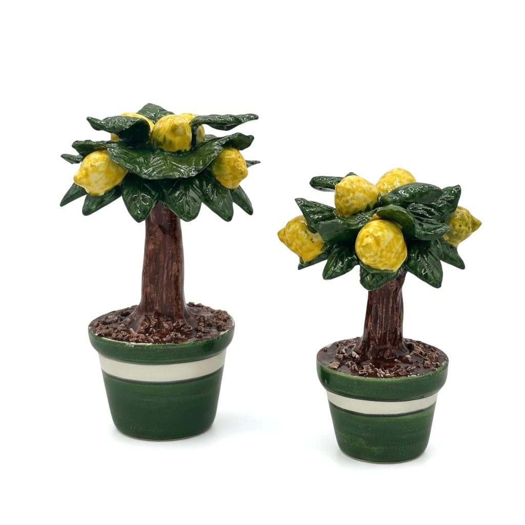 Alberello di Limoni