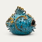 Pesce Palla