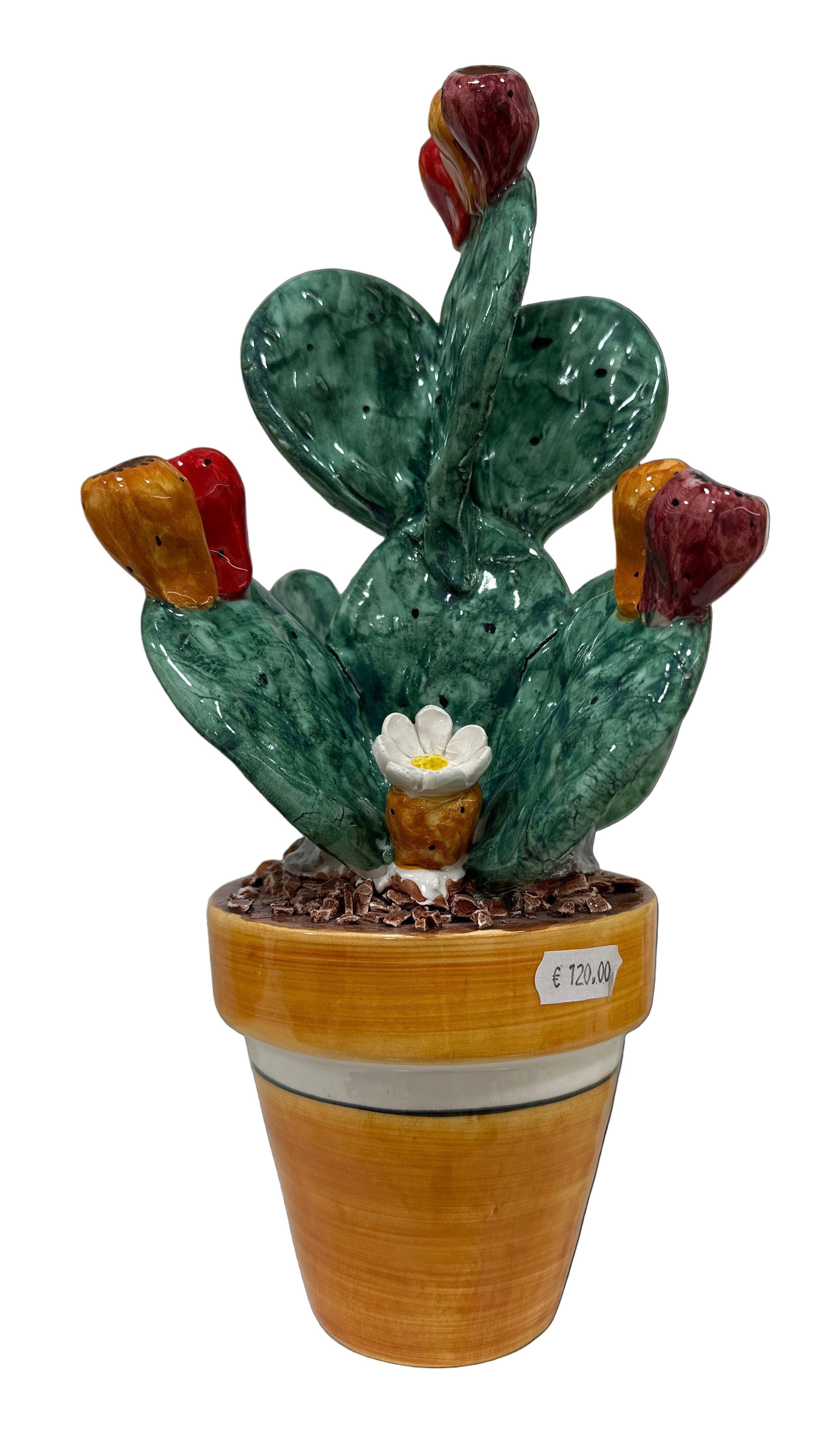 Pianta Di Fico D'India