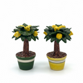 Lemon Tree