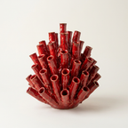 Corallo