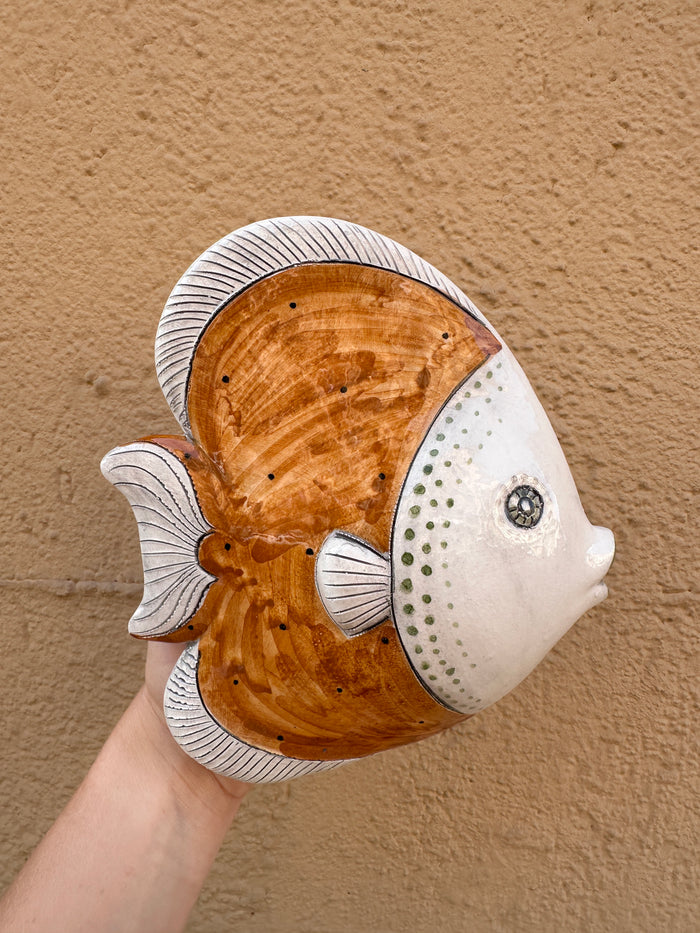 Pesce Tropicale