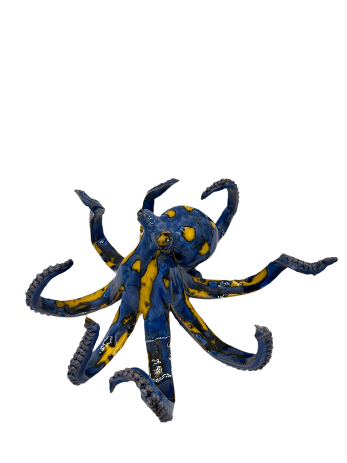 Polpo