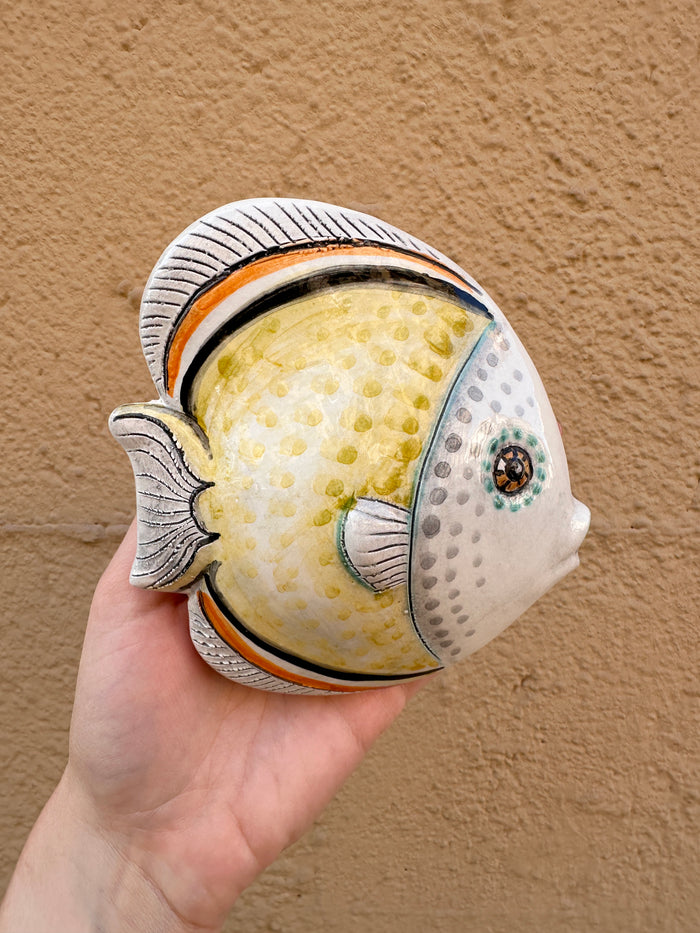 Pesce Tropicale