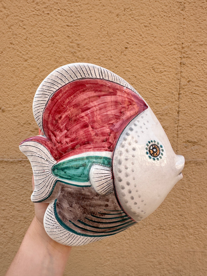 Pesce Tropicale