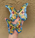 Blue Wing Butterflies