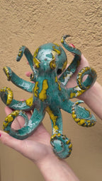 Octopus 