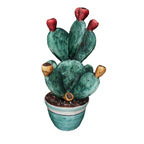 Prickly Pear Plant