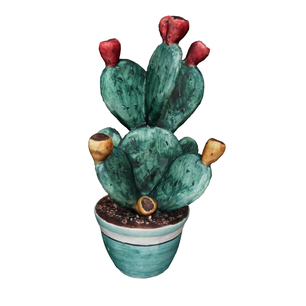 Plante de figue de barbarie