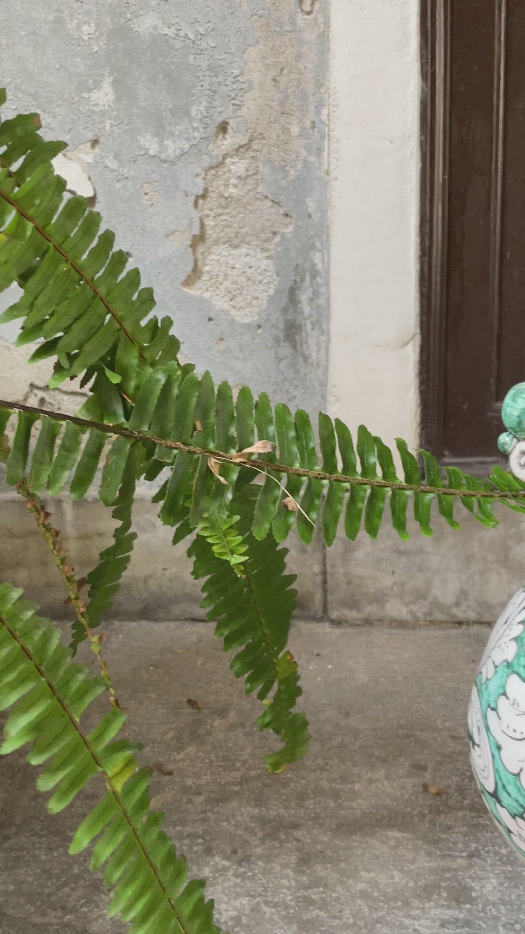 Teste Di Moro Verde Decorazione Barocca
