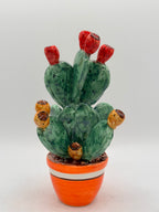 Prickly Pear Plant