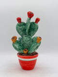 Plante de figue de barbarie