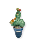 Plante de figue de barbarie