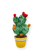 Plante de figue de barbarie