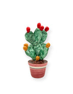 Plante de figue de barbarie