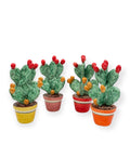 Prickly Pear Plant