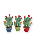 Prickly Pear Plant
