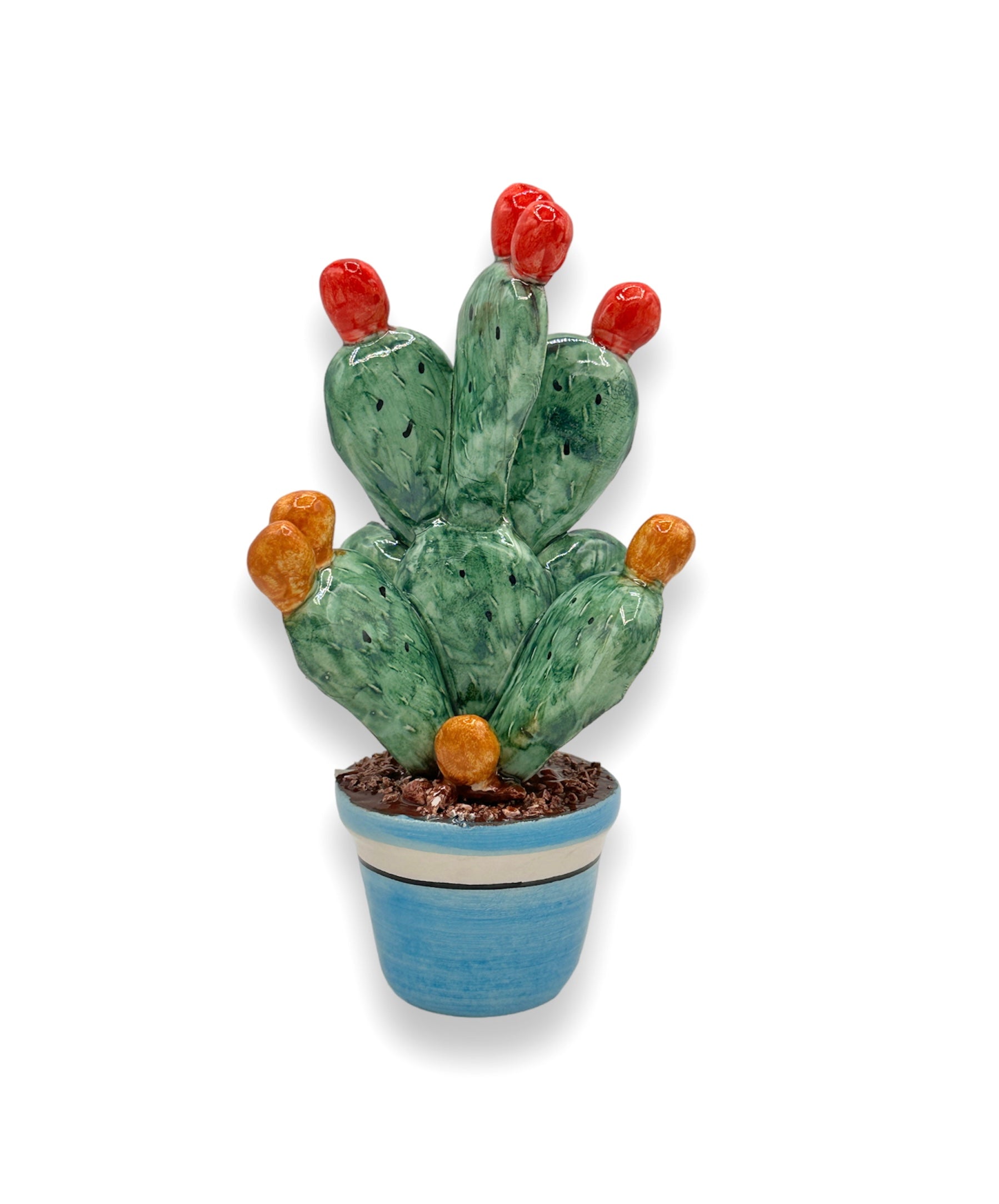 Plante de figue de barbarie
