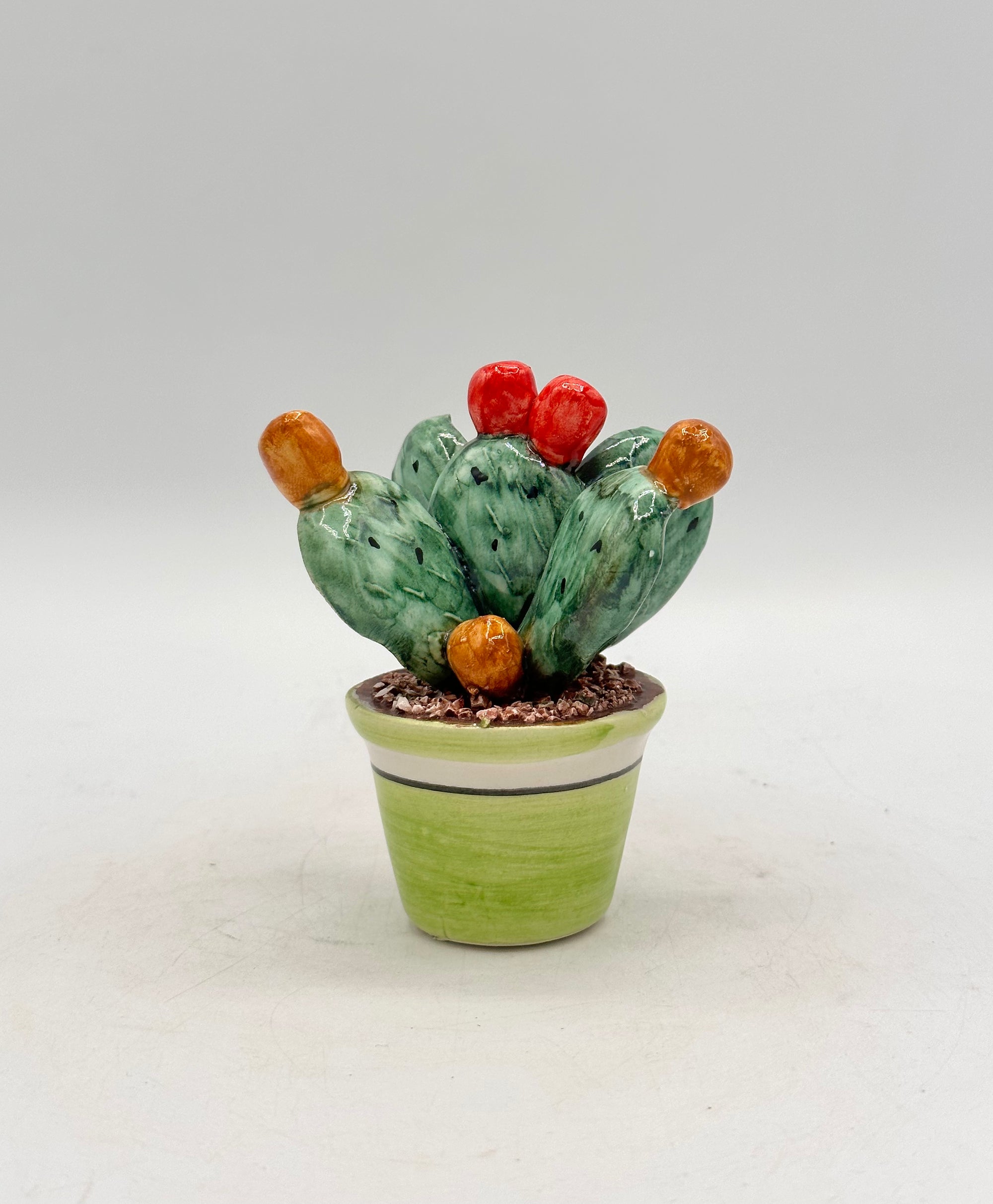 Plante de figue de barbarie