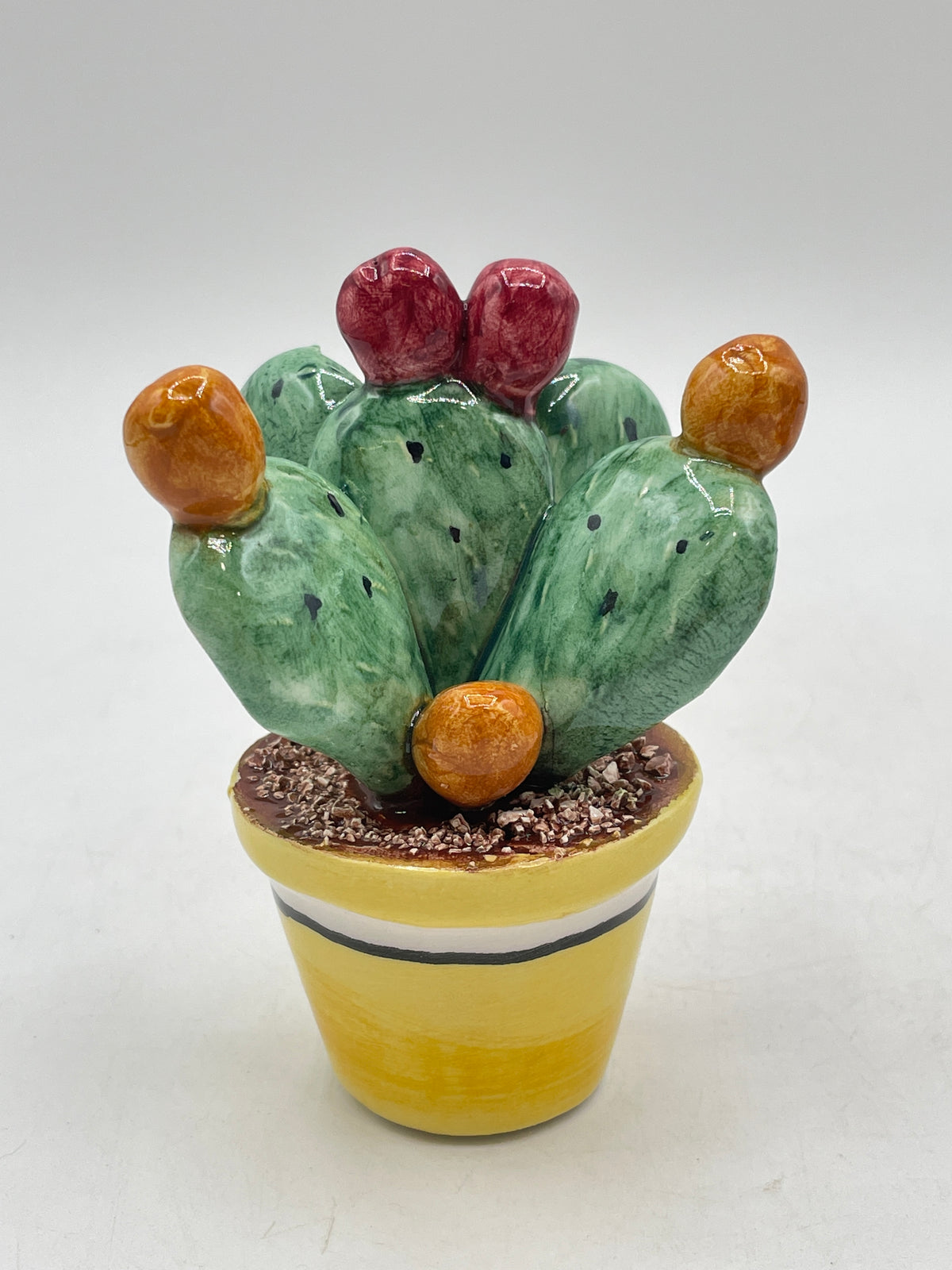 Prickly pear plant