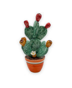 Prickly Pear Plant