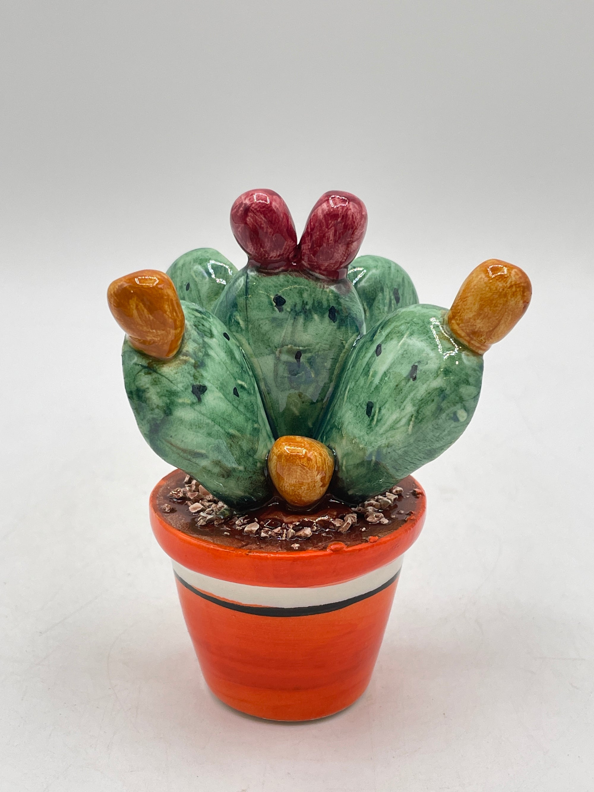 Plante de figue de barbarie